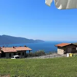 Sole *